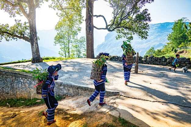 Phuket Adventure: Top Things to Do for Adventure Seekers