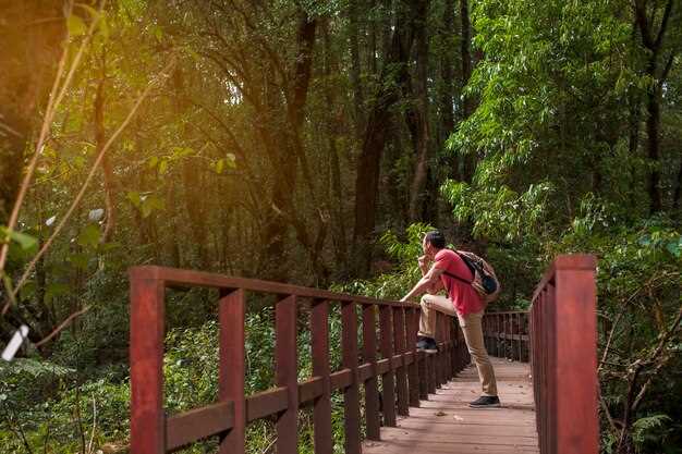 Abbey Falls: Access routes, best time to visit, parking, and entry tips