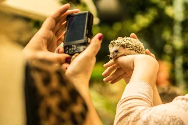 Buying Tickets Online: Step-by-Step Guide for Prague Zoo