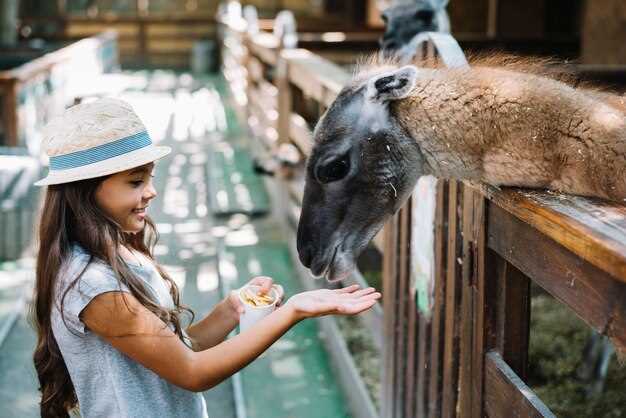 Prague Zoo Tickets: Buy Online, Prices, Hours, and Tips