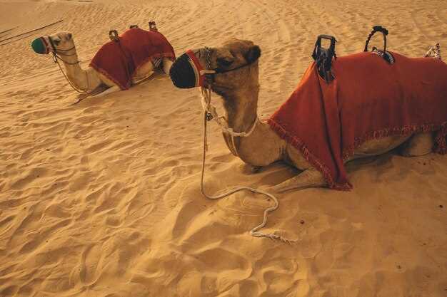 Private 2-Day Desert Tour from Marrakech to Merzouga Dunes – All-Inclusive Camel Trek