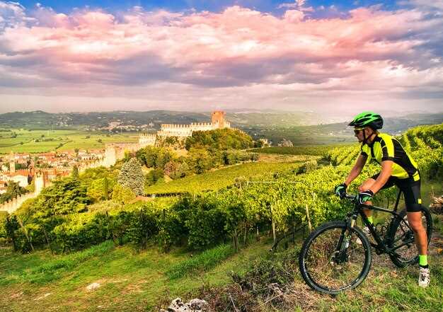Inclusions: e-bikes, guide, lunch, and tastings