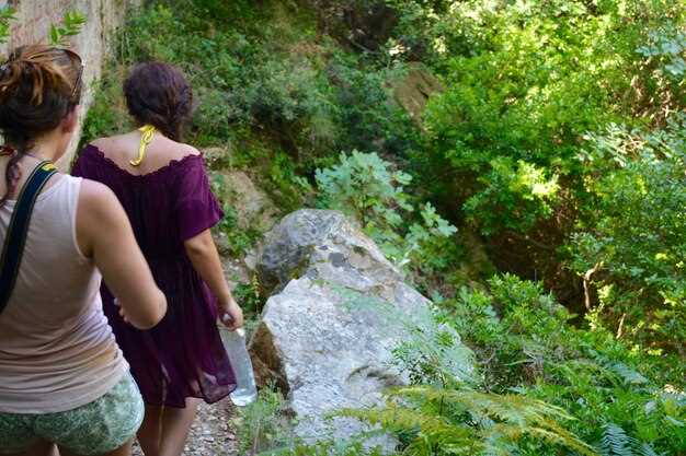 Private Guided Walk Levada Alecrim in Madeira – Custom Hiking Tour