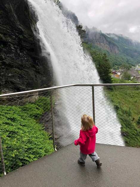 Rhine Falls in Switzerland: A Real Highlight for Travelers