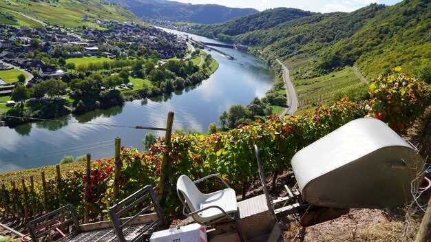 Wine-Tasting Routes along the Sil River: Top Wineries, Tasting Formats, and Booking Tips