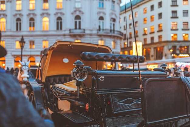 Rome 4-Hour City Tour by Luxury Limousine - Private Chauffeur Experience