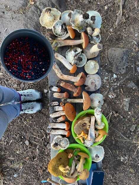 Rubbish Eat Rubbish Grow: Turning Waste into Resources for Sustainable Growth