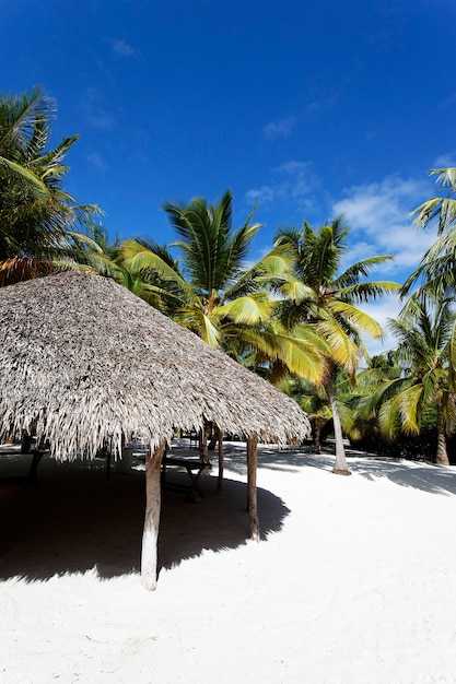 Paradis rustique : Compte rendu de Calala Island — Une île privée réservable avec des points World of Hyatt