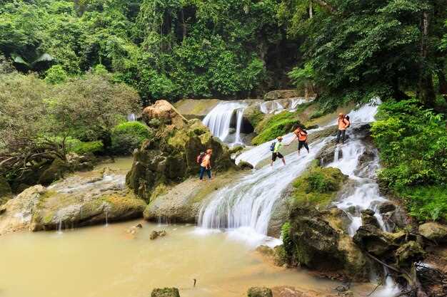 Sa Pa 2-Day Tour: Villages, Rice Fields, and Waterfall Hiking