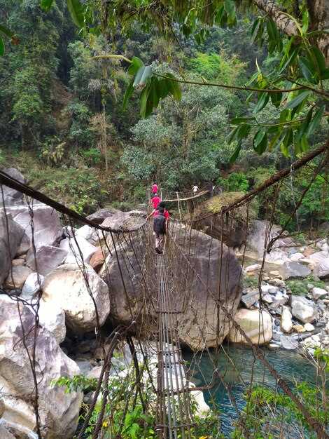 How to pick the right Sabah white-water rafting route for beginners vs. pros