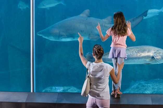 Opțiuni și Includeri Bilete Adventure Cove Waterpark