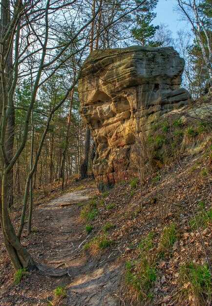 Excursion d'une journée à Sigulda : Ruines du château, grotte de Gutmanis, grotte et plus – Excursion d'une journée panoramique en Lettonie