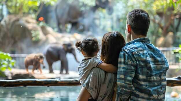 Discounted Tickets for Children and Seniors