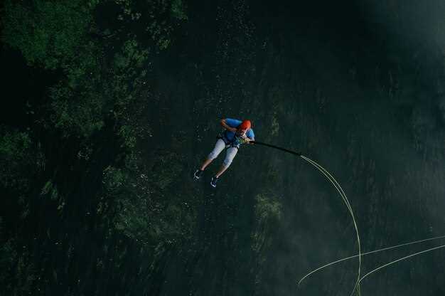 Skydive in New Zealand Guide