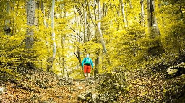 What to pack: daypack checklist for a golden ravine hike