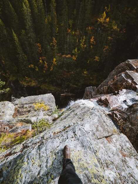 Söderåsen National Park: Hiking in a Golden Ravine in Skåne, Sweden