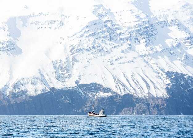 Antarctica-specific highlights: wildlife, ice scenery, and excursion options