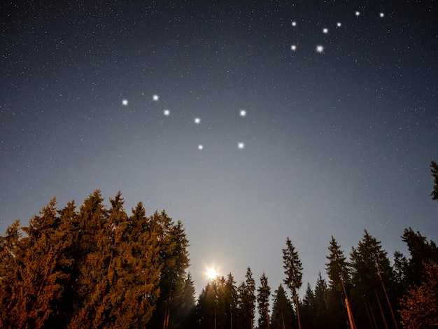 Access Protocols for a Local Dark-Sky Site: Parking, Trails, and Night Safety