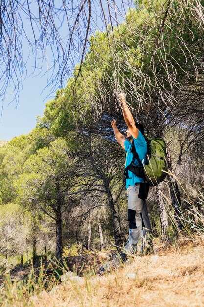 Summer Outdoor Adventures in Cape Town - Top Trails and Activities Summer Outdoor Adventures in Cape Town: Top Trails and Activities