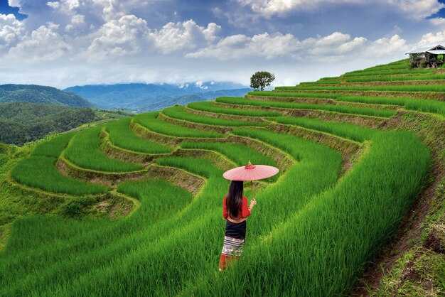 Tegalalang Rice Terraces Bali 2025 Complete Guide: Ubud's Most Iconic View