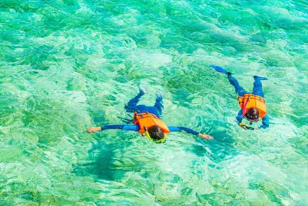 Safety, Marine Life Etiquette, and Sea Rules