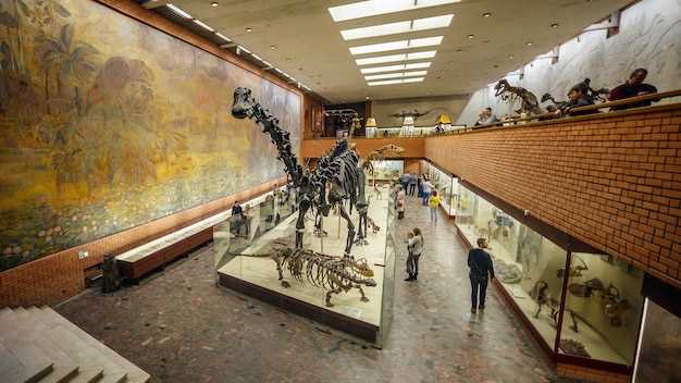 L'arte e i musei d'arte di Madrid, Spagna: una guida completa