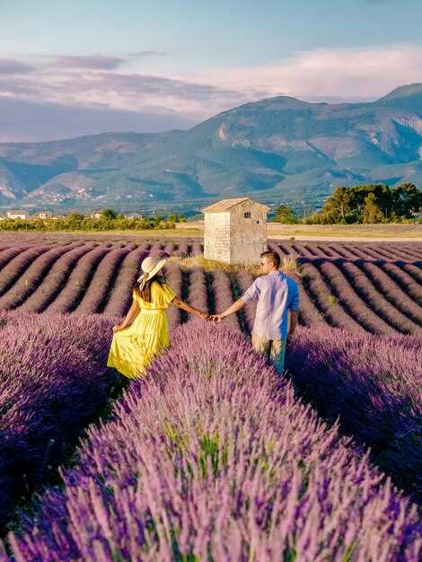 The Best Aix-en-Provence Nature Adventures 2025 | Free Cancellation