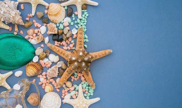 Boat trips, sea encounters, and practical tips
