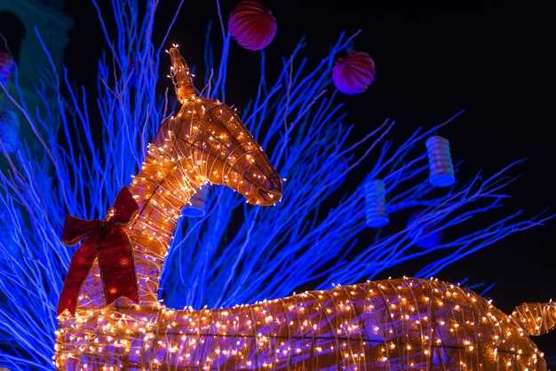 The Best Florida Magic Shows 2025 - Free Cancellation - Book Your Tickets; Duration