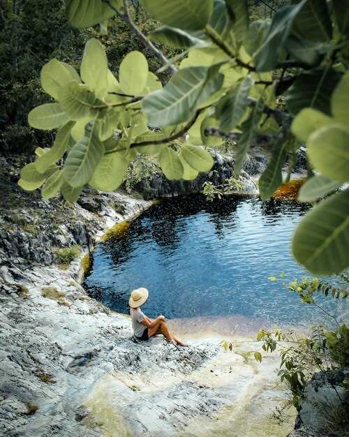 Global Wild Swimming Hotspots and Bajos del Toro Highlights