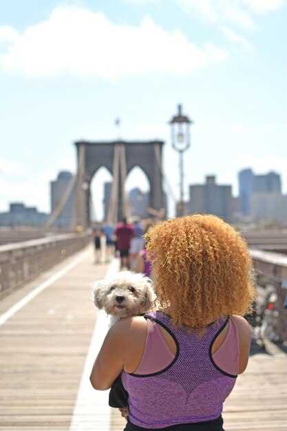 The Best Walking Tours in New York City: Top NYC Tours You Can't Miss