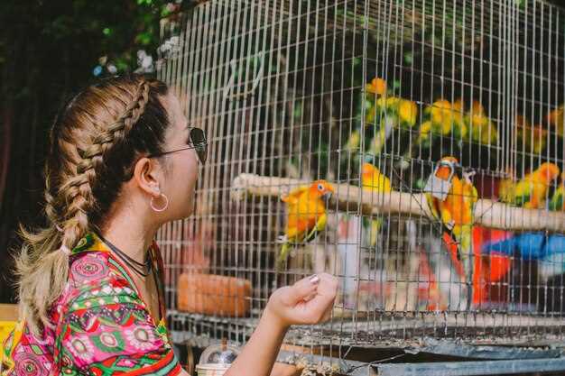 The Lisbon Zoo: Visiting Guide, Tickets, Hours, Exhibits and Tips