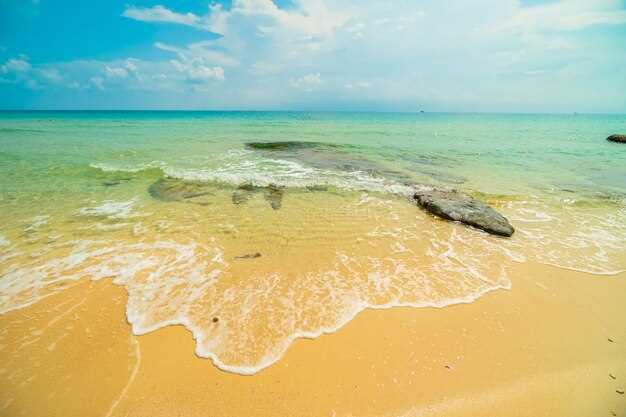 Sand Color Profiles: What Each Hue Reveals About a Beach