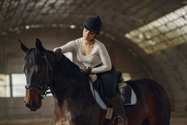 The Spanish Riding School: A Rider’s Inside Look at Europe’s Oldest Classical Academy