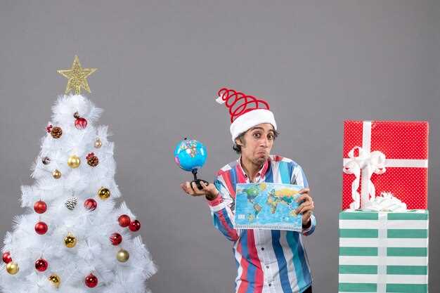 Typical KFC Christmas Menu Options and Bundles in Japan