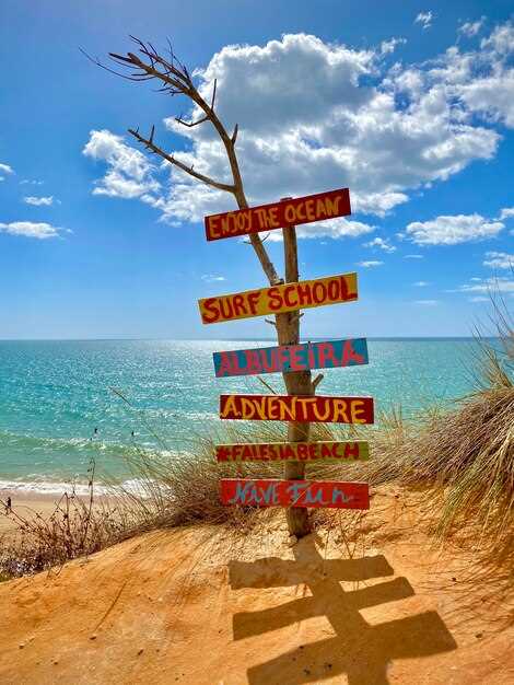 Waterfalls and Scenic Lookouts to Visit