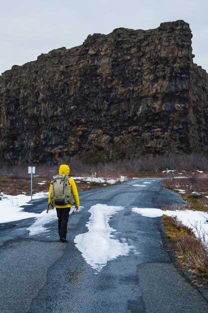 Ghidul suprem pentru Reykjavik: Explorează vibranta capitală a Islandei