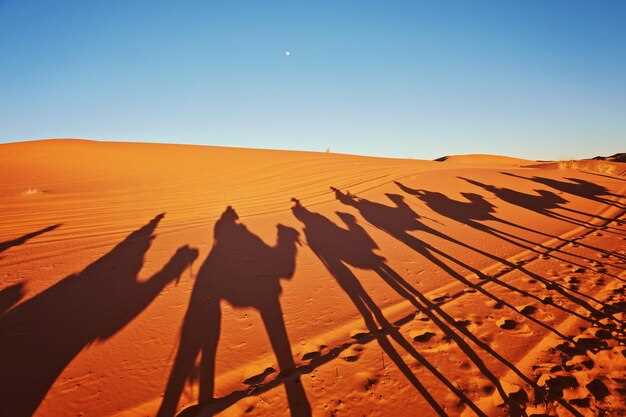 La lista definitiva delle esperienze in Marocco - Scopri le migliori avventure e i punti salienti culturali La Lista Definitiva delle Esperienze in Marocco: Scopri le Migliori Avventure e Attrazioni Culturali