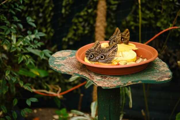 Culinary Delights: Local Eateries and Street Food