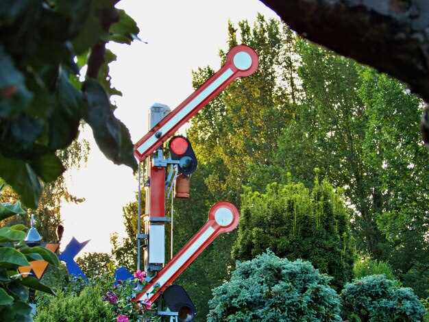 Things to Do in the Surrounding Area: Best Local Attractions and Activities