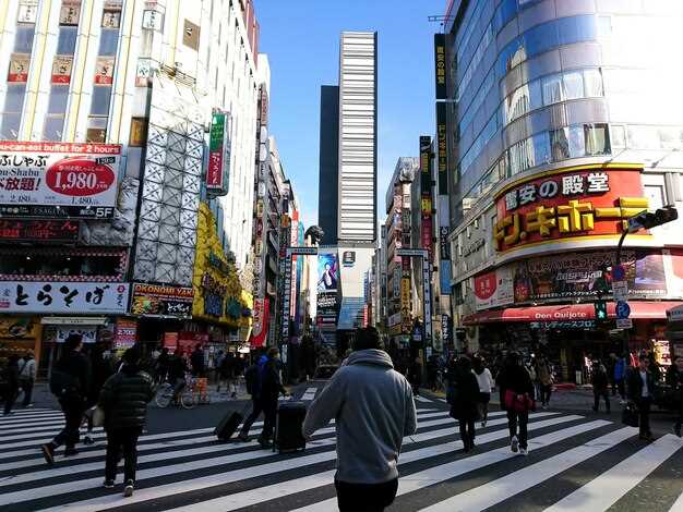 Tokyo Haneda Layover 5-Hour Private Tour | Private Tokyo City Tour