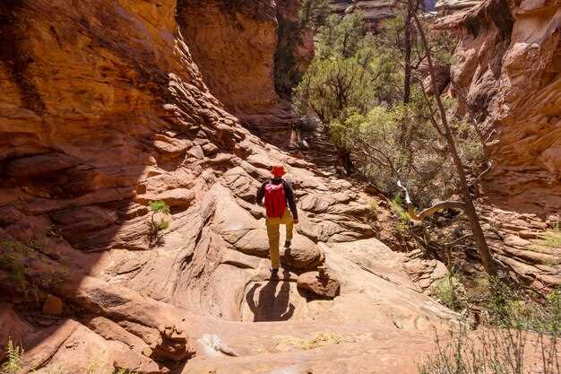 Family and Pet-Friendly Options: Easy Loops and Nearby Mesa Stops