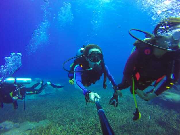 Seasonal window for diving North Island underwater peaks