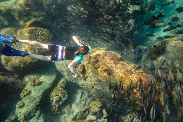 Top 10 Best Dive Sites in the World | Scuba Diving Destinations