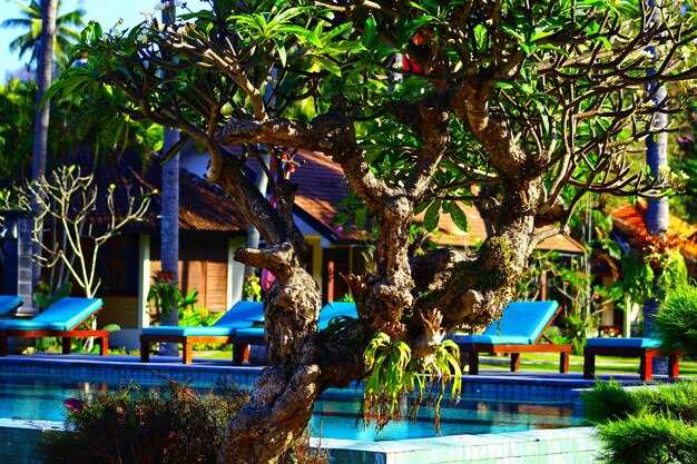Practical insights for choosing, earning, and booking with IHG rewards