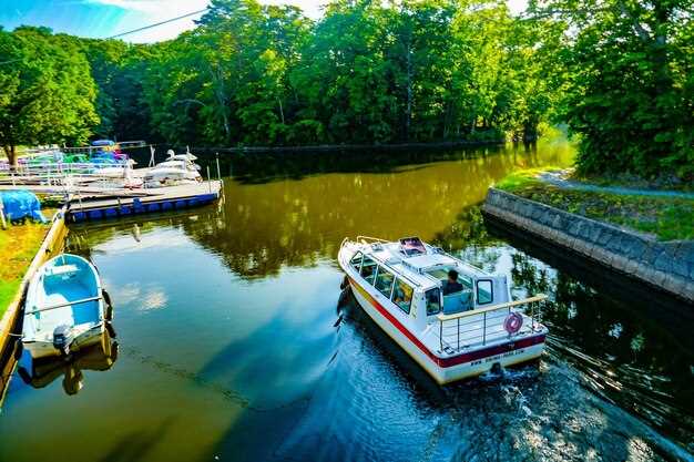 Top 10 Boat Tours and Cruises in Manaus – Best Amazon River Experiences