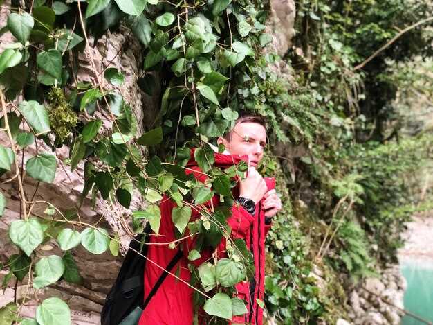 Top 10 Douro Activities You Can’t Miss – Best Things to Do in the Douro Valley