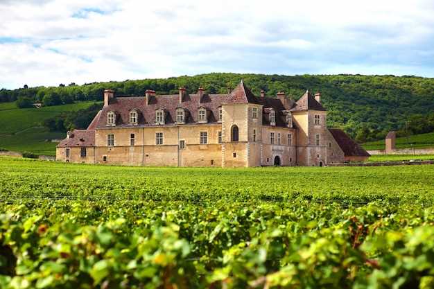 Top 10 Most Beautiful Castles in the Loire Valley