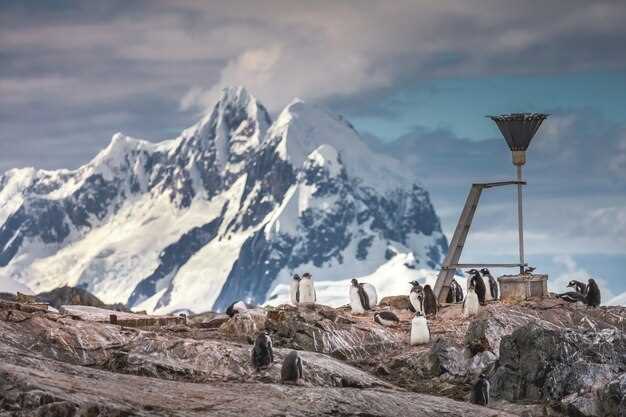 Top 10 Mountains in the World: The Ultimate Guide to Earth's Highest Peaks