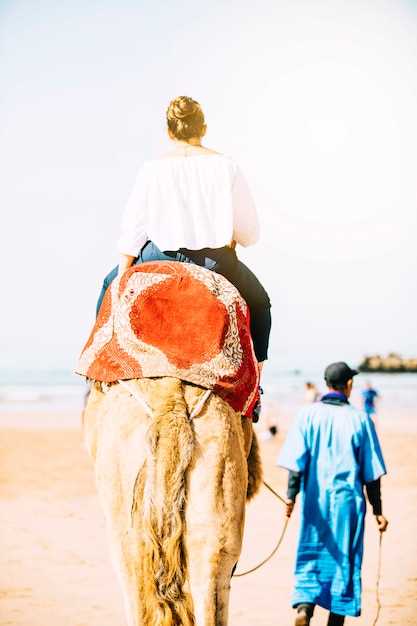 Top 13 Best Things to Do in Agadir, Morocco